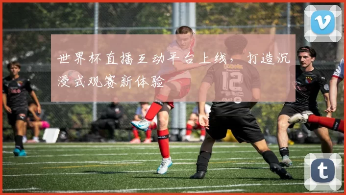 世界杯直播互动平台上线，打造沉浸式观赛新体验