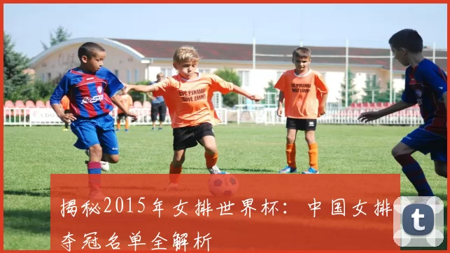 揭秘2015年女排世界杯:中国女排夺冠名单全解析