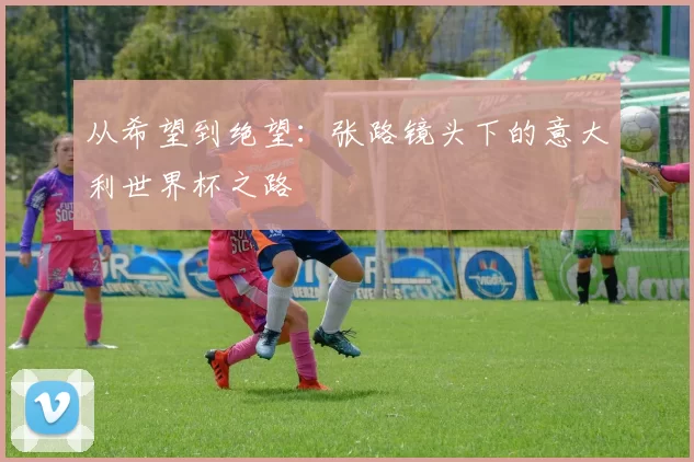 从希望到绝望：张路镜头下的意大利世界杯之路