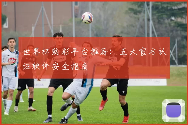 世界杯购彩平台推荐:五大官方认证软件安全指南