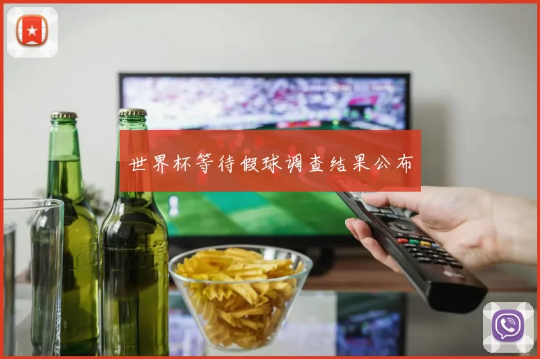 世界杯等待假球调查结果公布