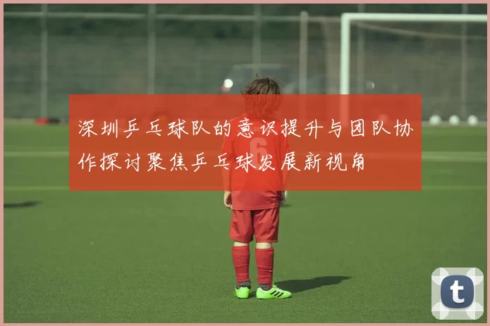深圳乒乓球队的意识提升与团队协作探讨聚焦乒乓球发展新视角