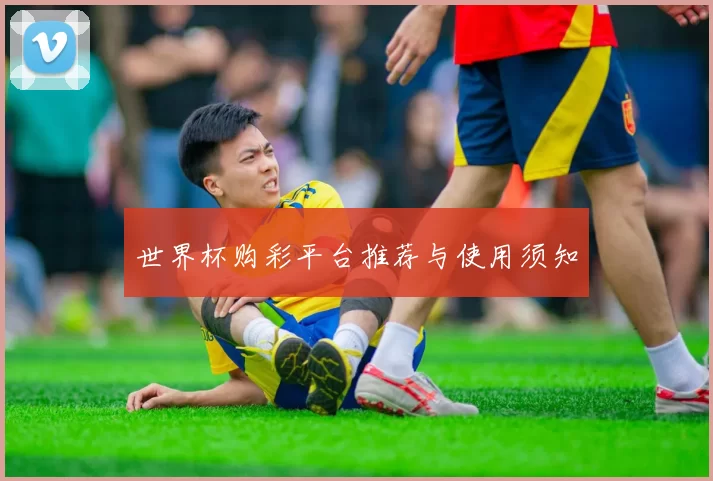 世界杯购彩平台推荐与使用须知
