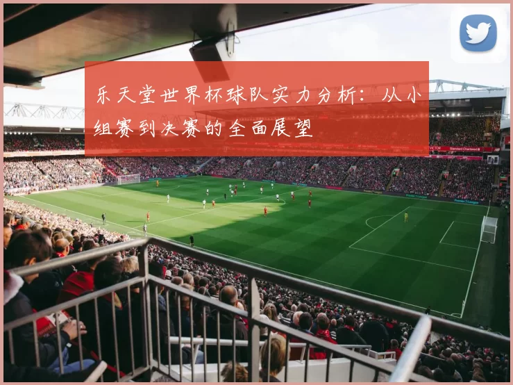乐天堂世界杯球队实力分析:从小组赛到决赛的全面展望