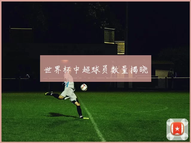世界杯中超球员数量揭晓