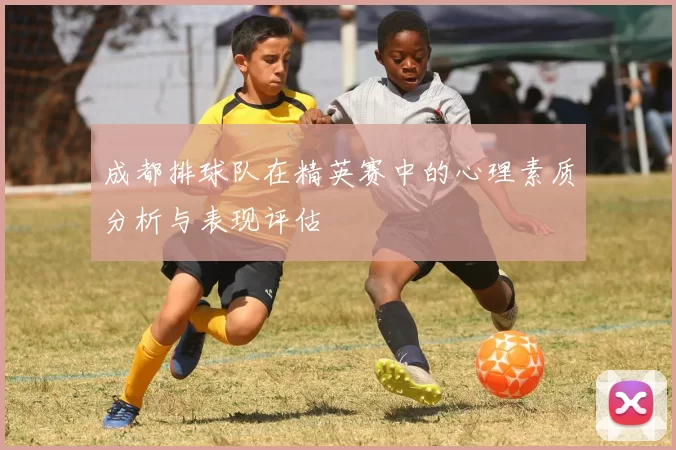成都排球队在精英赛中的心理素质分析与表现评估