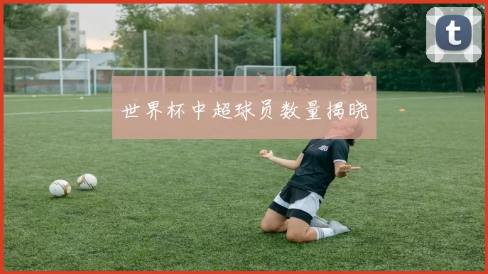 世界杯中超球员数量揭晓