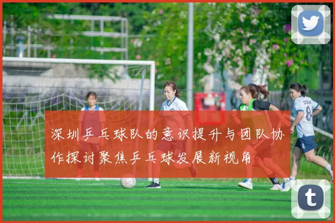 深圳乒乓球队的意识提升与团队协作探讨聚焦乒乓球发展新视角