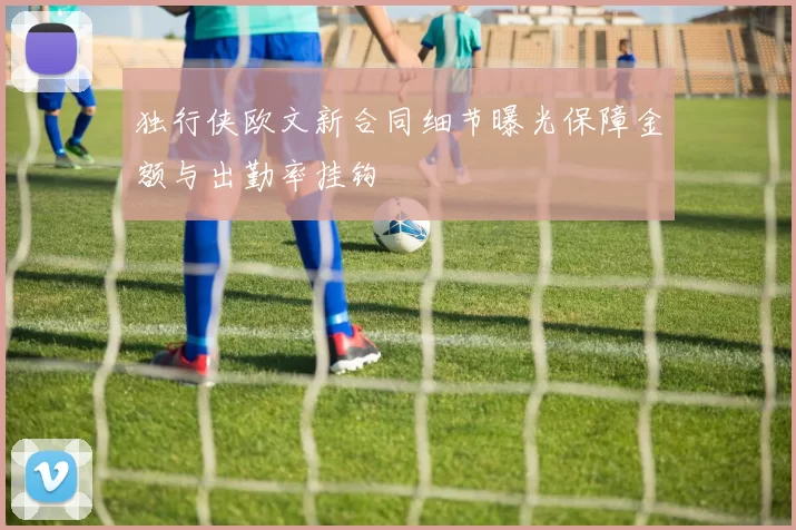 独行侠欧文新合同细节曝光保障金额与出勤率挂钩