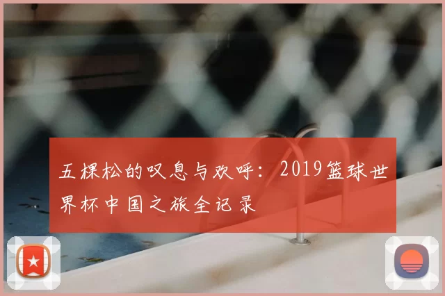 五棵松的叹息与欢呼:2019篮球世界杯中国之旅全记录