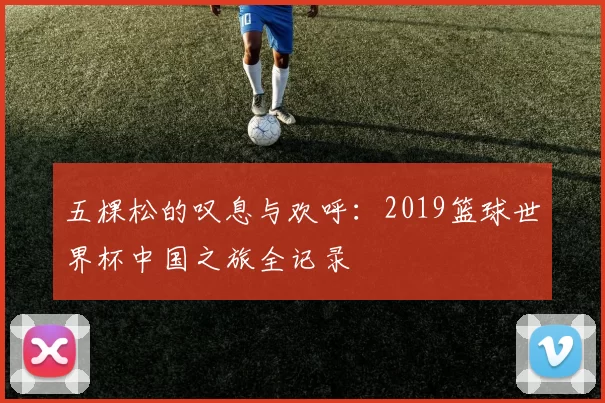 五棵松的叹息与欢呼:2019篮球世界杯中国之旅全记录